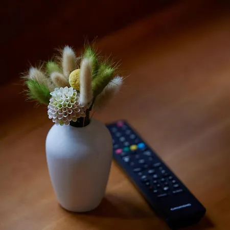 Soho 3* Landau in der Pfalz