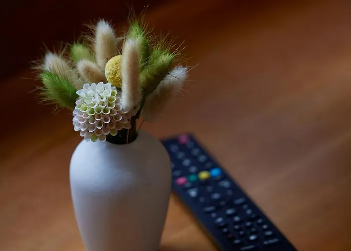 Soho 3* לנדאו אין דר פאלץ